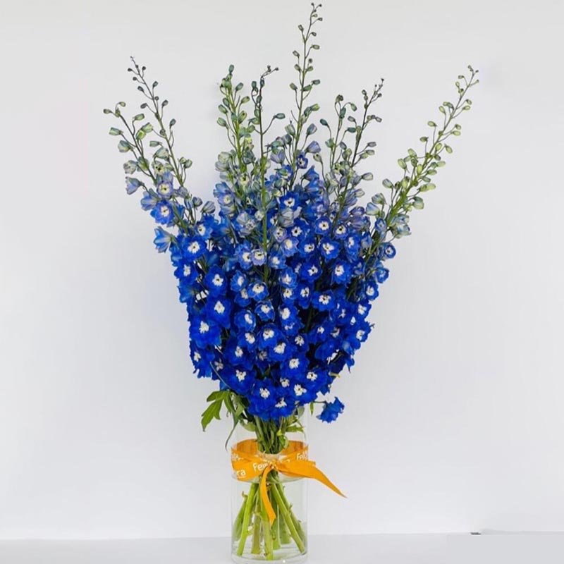 Delphinium-Flower-Vase Delphinium-Flower-Vase