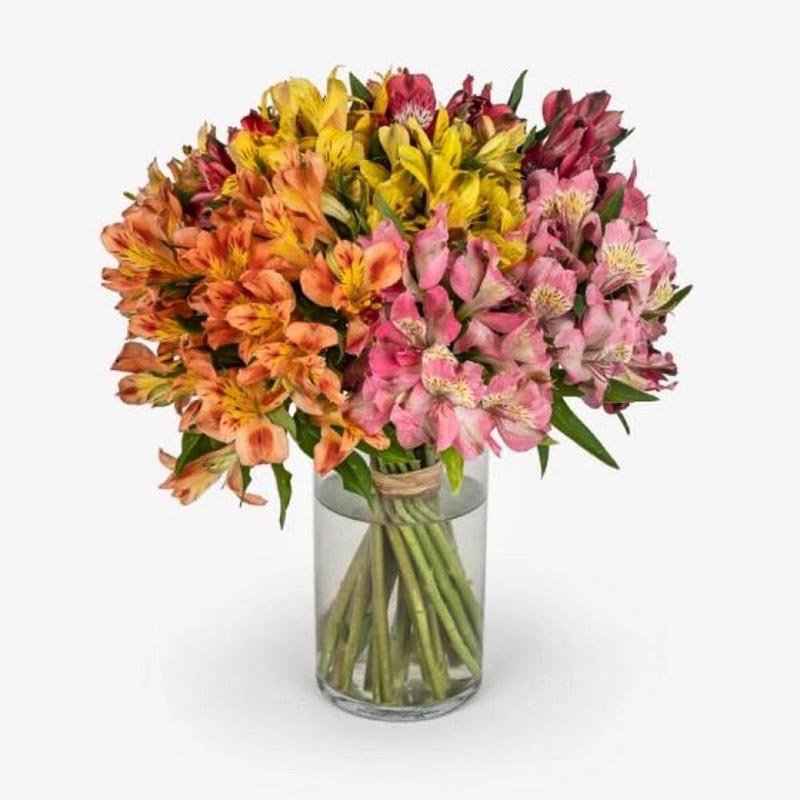 Mixed-Alstroemeria-Flower-Vase Mixed-Alstroemeria-Flower-Vase