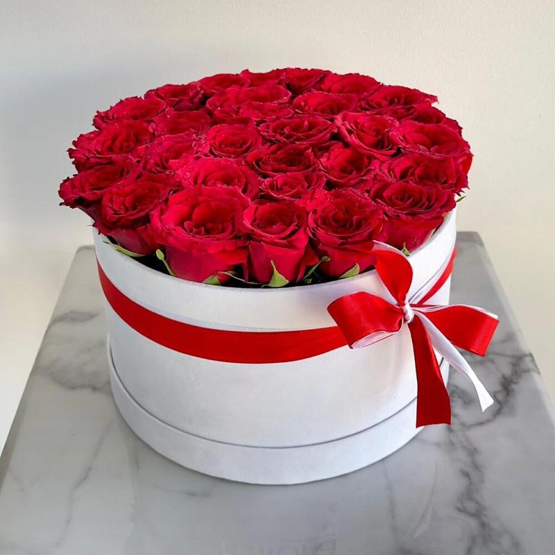 Red-Rose-In-White-Round-Box Red-Rose-In-White-Round-Box
